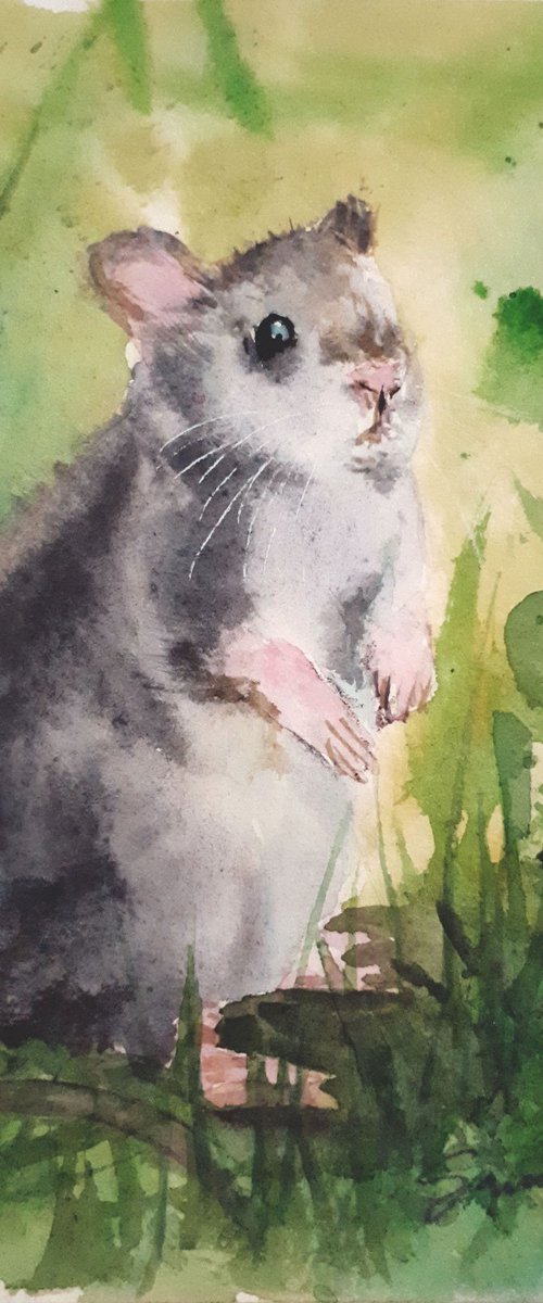 Mouse I... / FROM THE ANIMAL PORTRAITS SERIES / ORIGINAL WATERCOLOR PAINTING by Salana Art