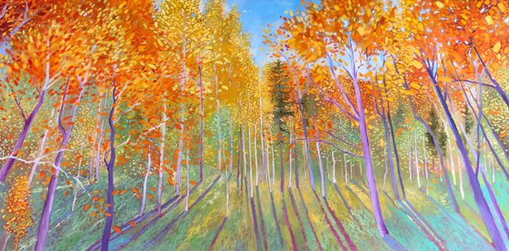 Aspens forest in autumn 60-120cm