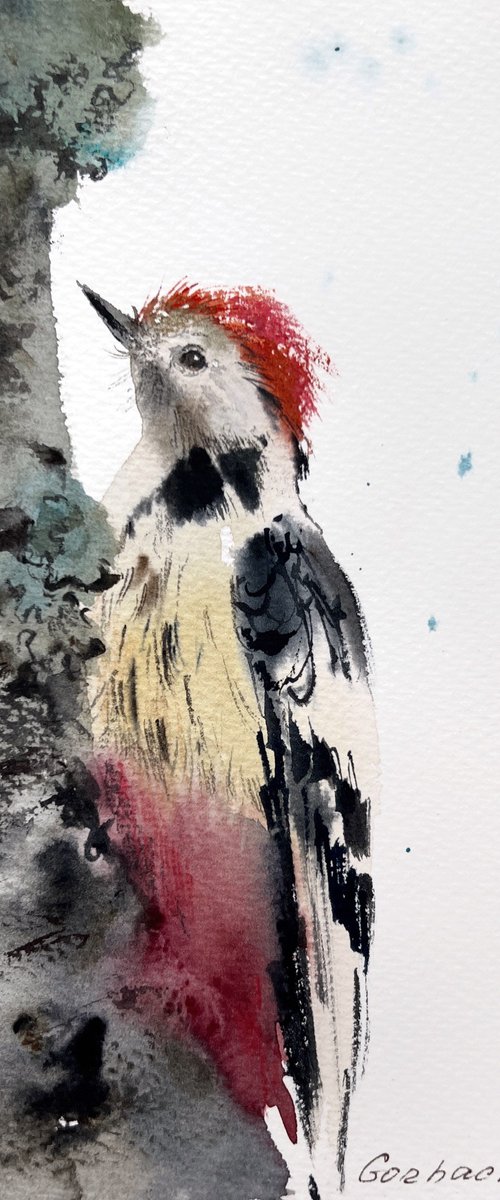 Woodpecker on a tree #2 by Eugenia Gorbacheva