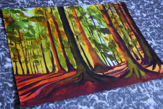 Norwegian watercolor painting Sunset forest, Sun through trees in Norway