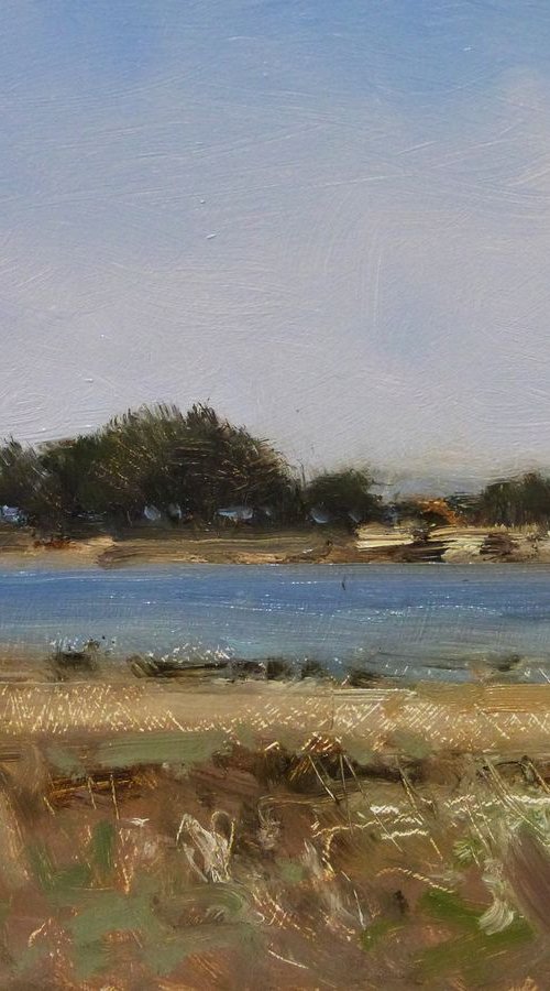 Landscape of Brittany near Carantec by Pascal Giroud