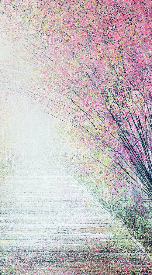 Cherry Blossom Trees In Morning Mist by Marc Todd