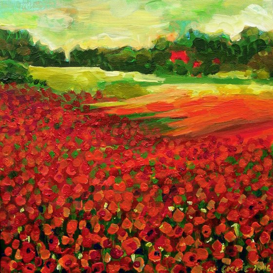 Poppy field