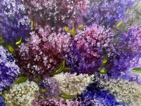 Magic of Lilacs