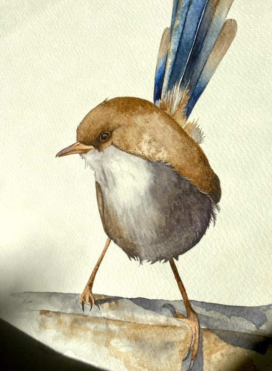 Graceful Fairy Wren in Dusty Shades of Gray