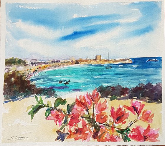 Bougainvillea in Tabarca