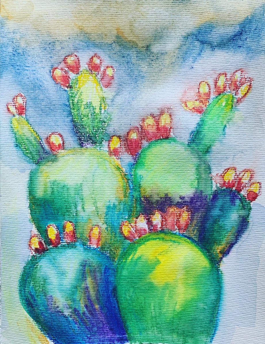 Cactus by Olga Pascari