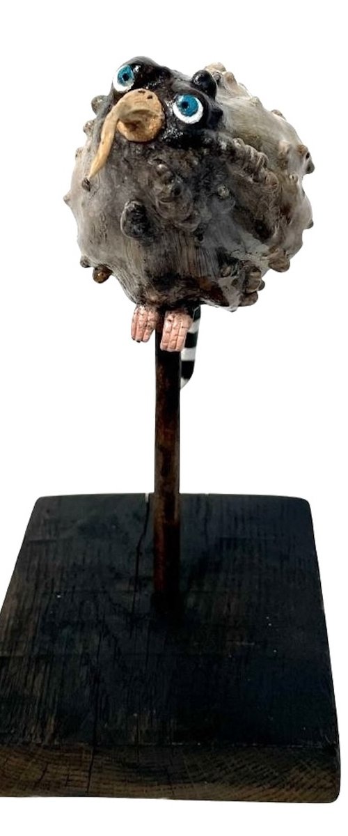 The JACKDAW by Eleanor Gabriel