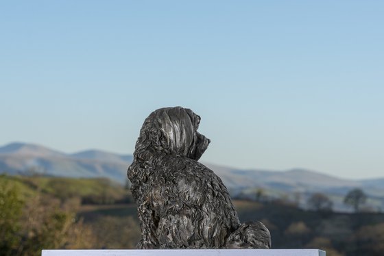 Maltese Terrier Bronze Resin