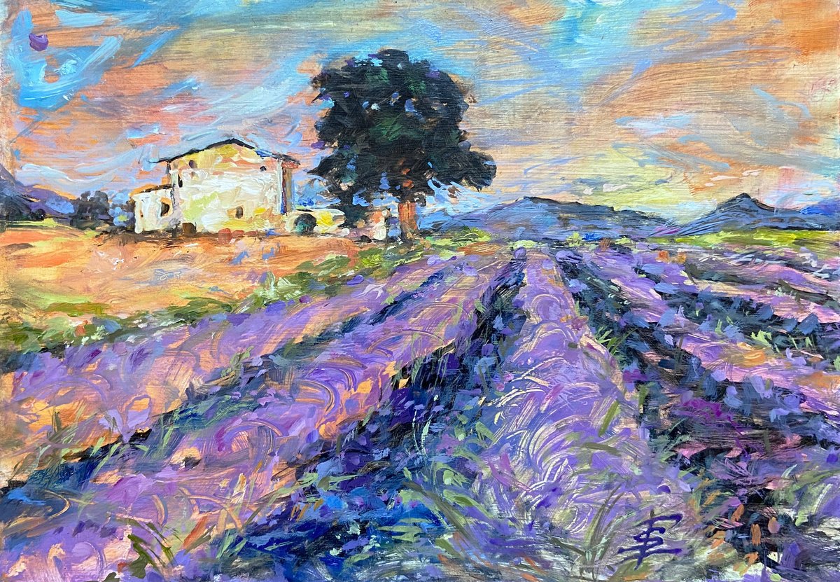 Impressionistic Landscape Oil Painting By Elvira Sesenina, 10 X 7, Sunset In Provence, Original Artwork