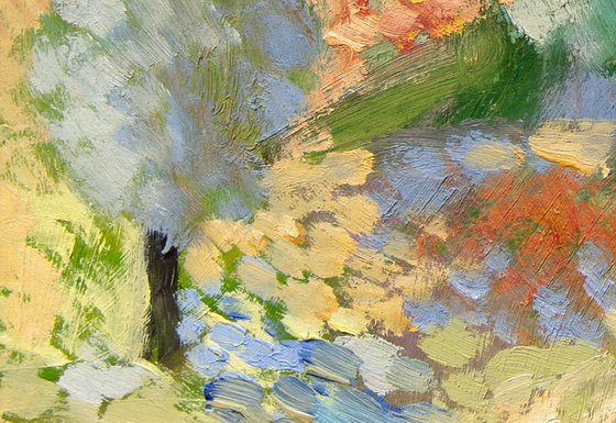 Olive Groves