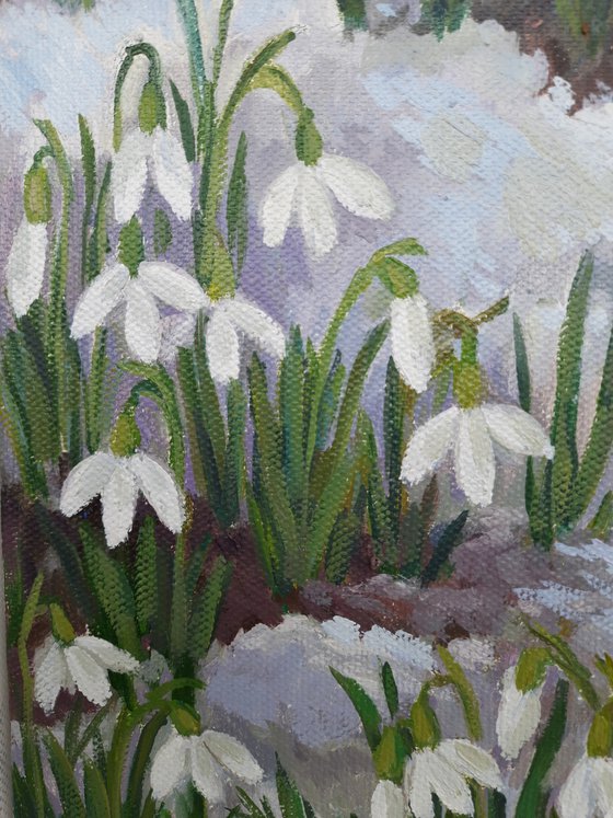Snowdrops - Original  oil painting (2021)