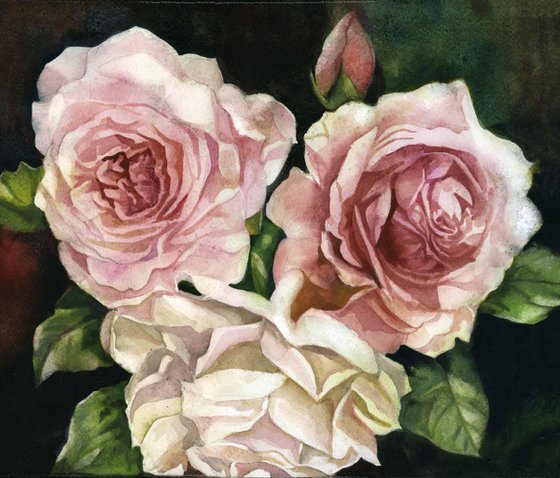 three roses