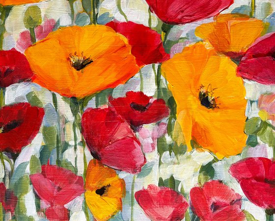 Dance of Poppies
