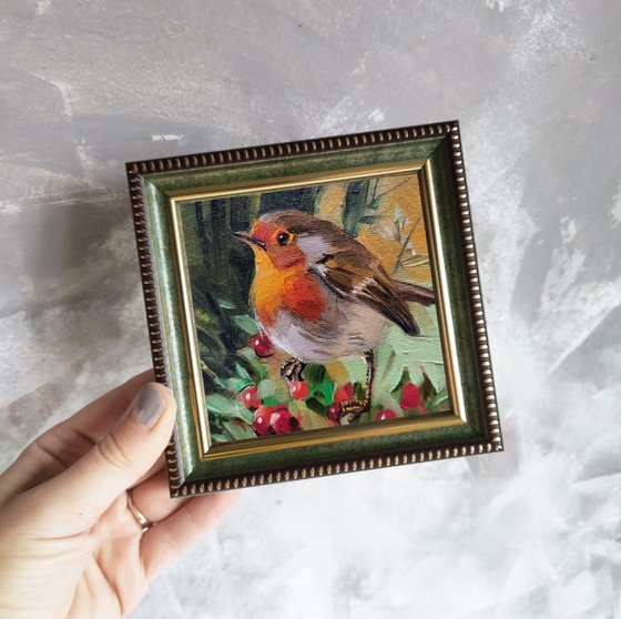 Robin bird on brunch