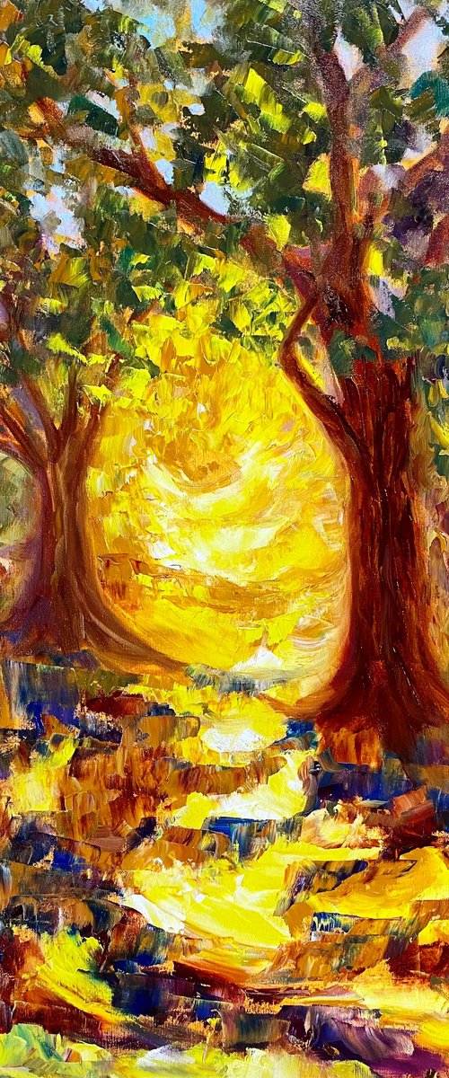 Pathway Of Light by Deepa Kern