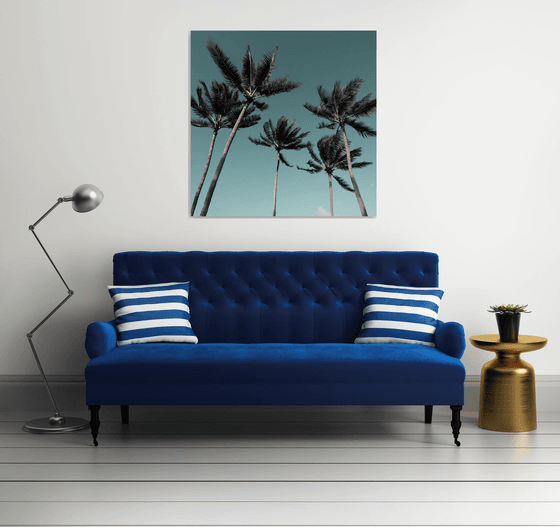 Palms