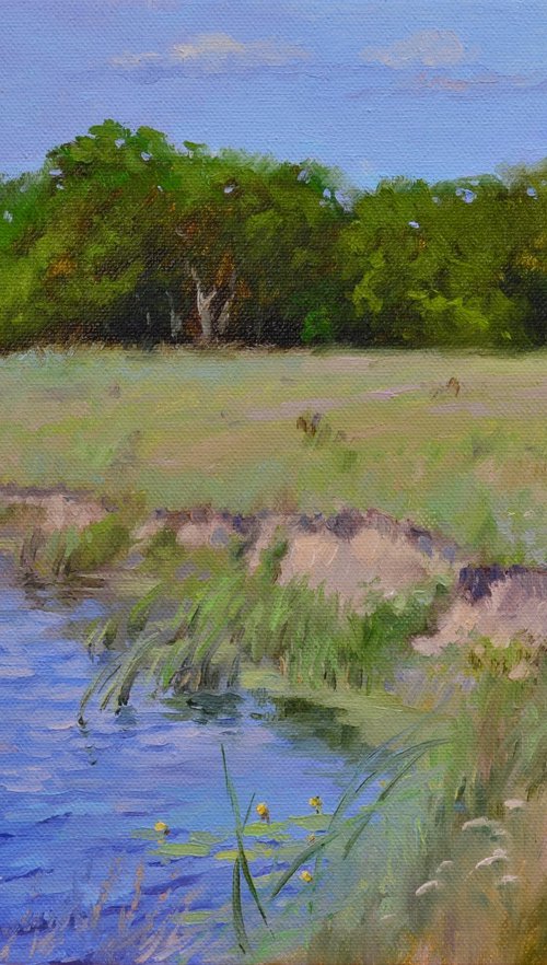 On the steep bank. Etude by Ruslan Kiprych