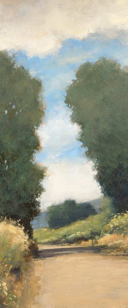 Country Road 240804 by Don Bishop