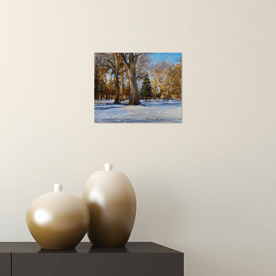 A sunny winter afternoon