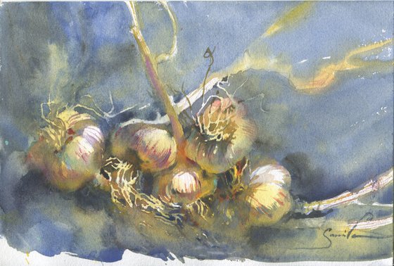 Still life watercolor of Garlic