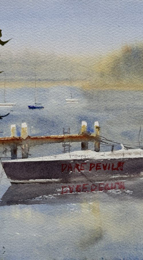 Sydney harbour - Dare Devil by Shelly Du
