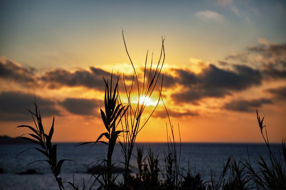 LA MADDALENA SUNSET