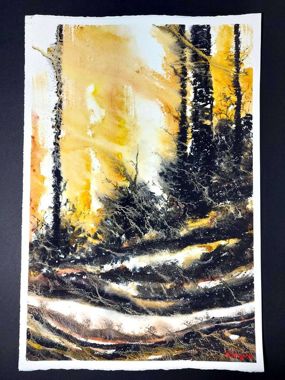 The Forest Crackled