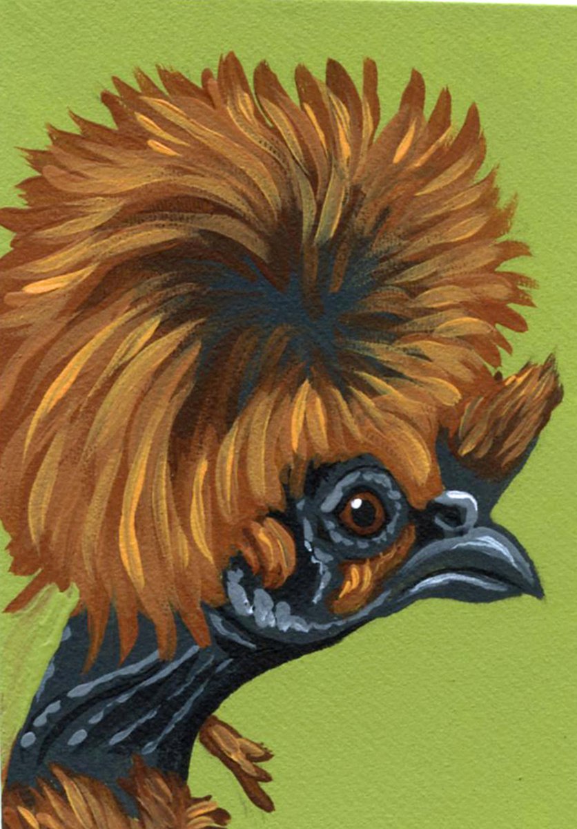 ACEO ATC Original Miniature Painting Showgirl Silkie Chicken Pet Bird Art-Carla Smale by carla smale