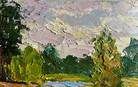 In the Summer Forest