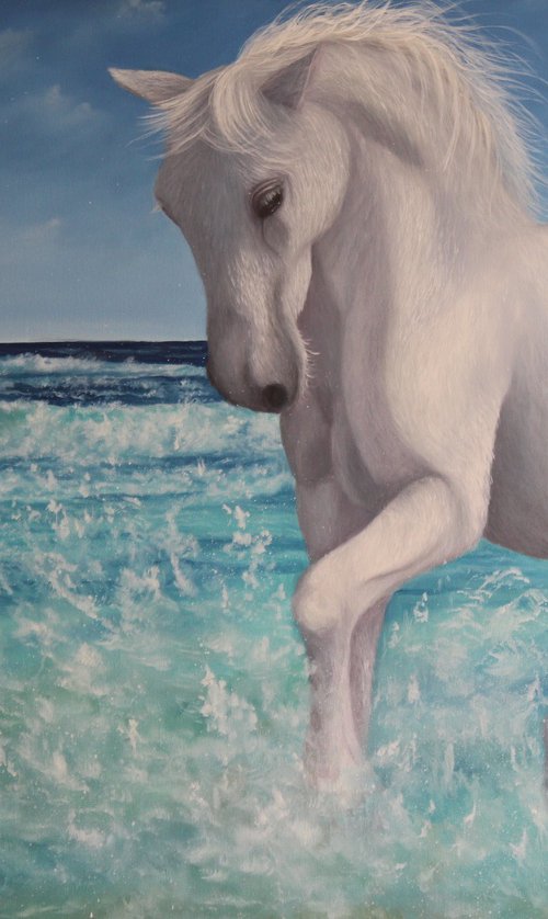 White horse at sea by Goutami Mishra