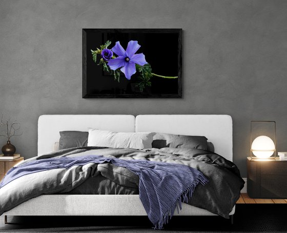 Lilac Hibiscus Flower