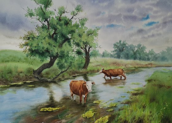 Cows at the Stream