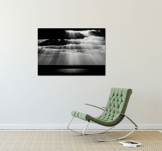 Spot | Limited Edition Fine Art Print 1 of 10 | 90 x 60 cm