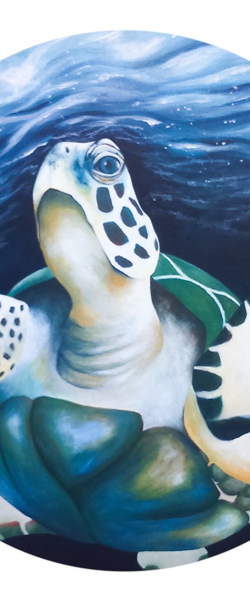 "Sea Turtle" by Christina Bilbili