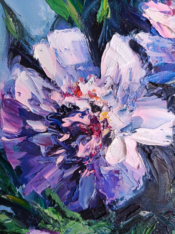 Peony rapsody