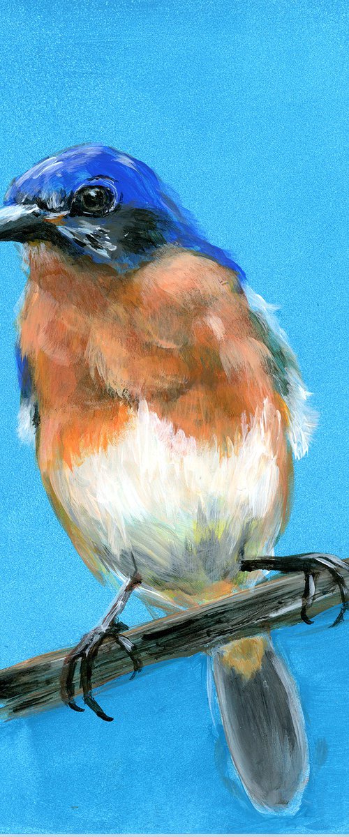 Bluebird - Original Acrylic Painting by Olga Tchefranov (Shefranov)