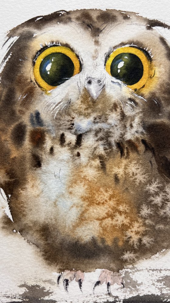 Owls (Diptych)