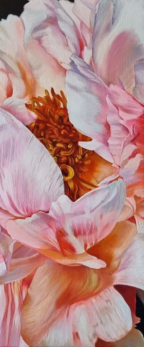 "A little cheeky." peony  flower 2022 by Anna Bessonova (Kotelnik)