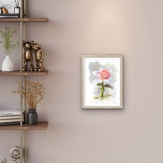 Single Rose