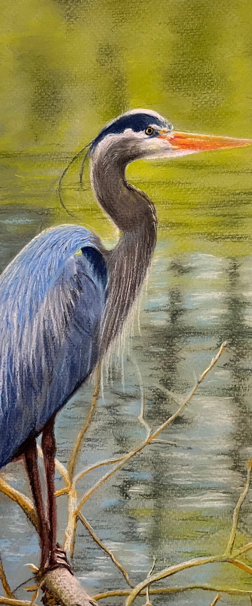 Azure Elegance: Heron in the Sebino Wetlands by Angelo Di Carlo