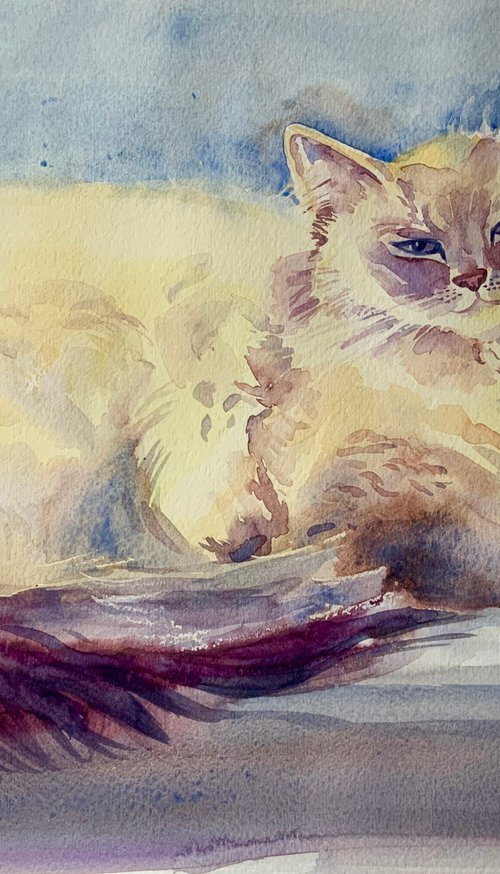 Window cat by Mary Stubberfield