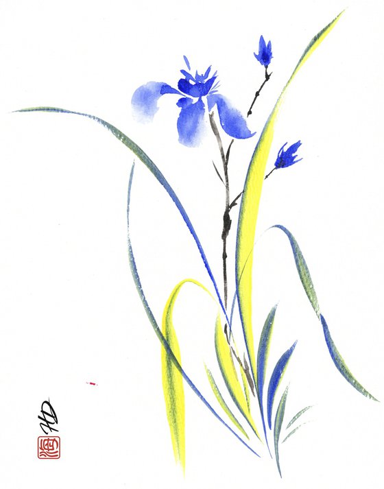 Whispering Blue Iris