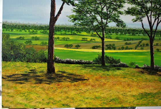 Cheshire plains  100cm x 100cm