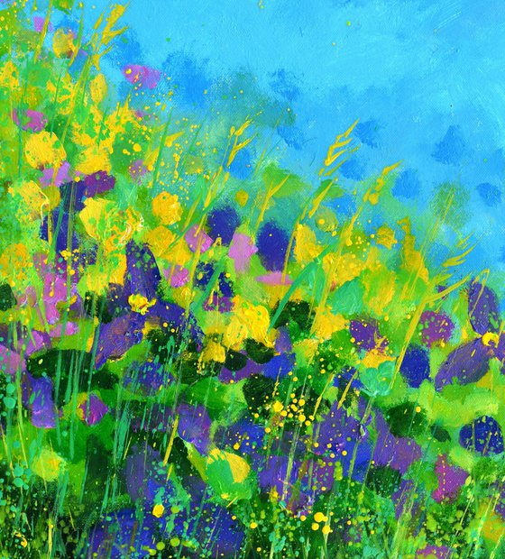 Summer wild flowers   -  5623