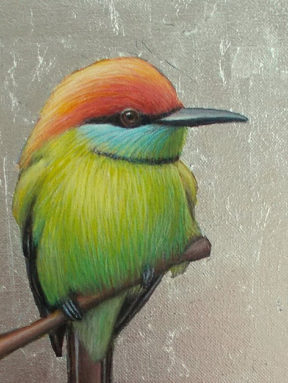 bird painting "Bird of the African savannah"