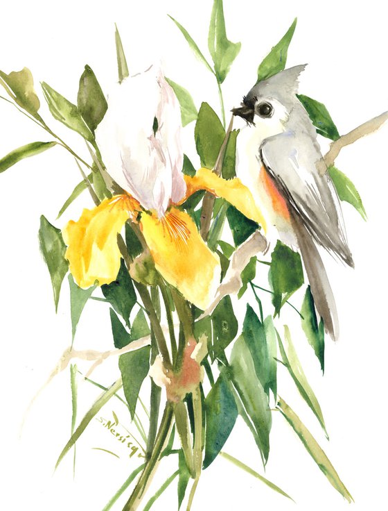 Titmouse and flowers