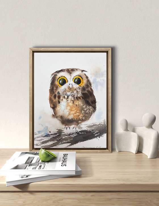 Amber-Eyed Owlet