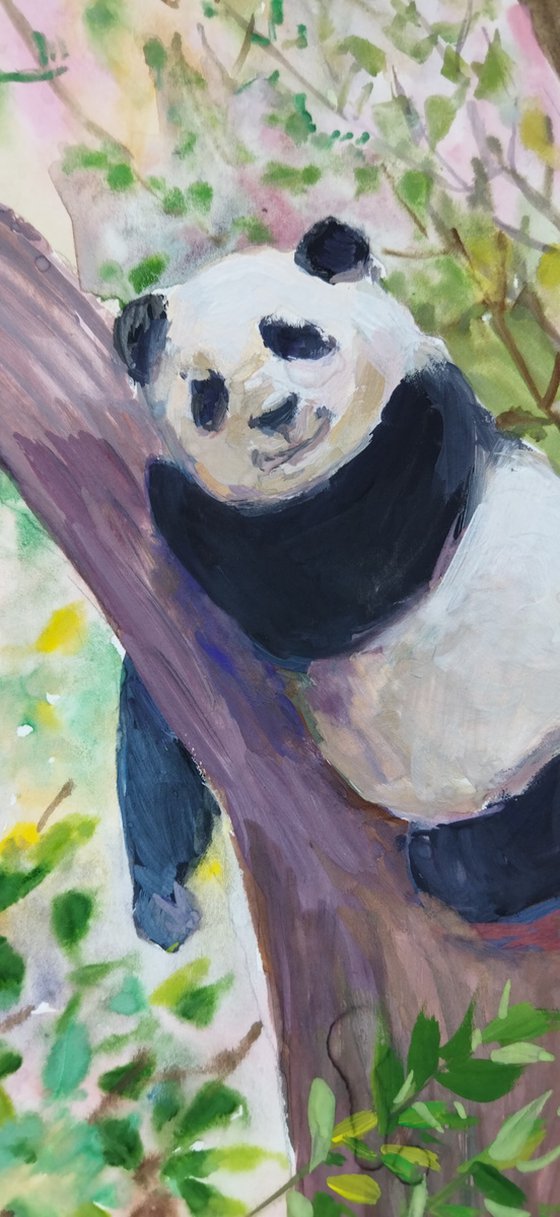 Cute panda