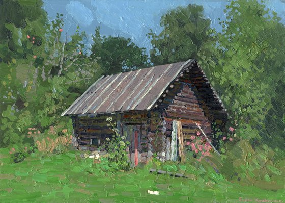 Bathhouse. The Shashkovo